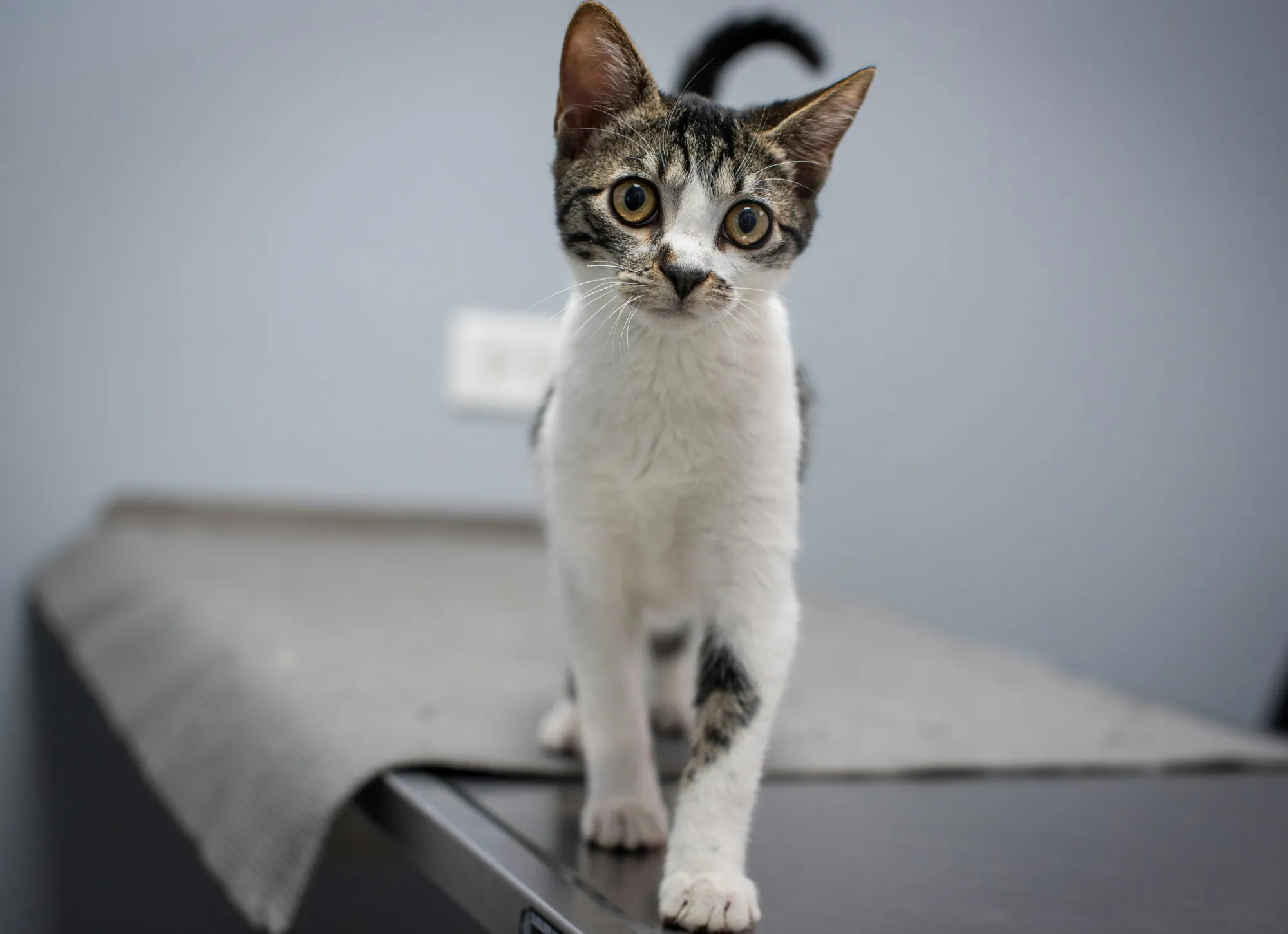 Aktualności lokalne - Gdynia